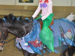 dsc_0226_web